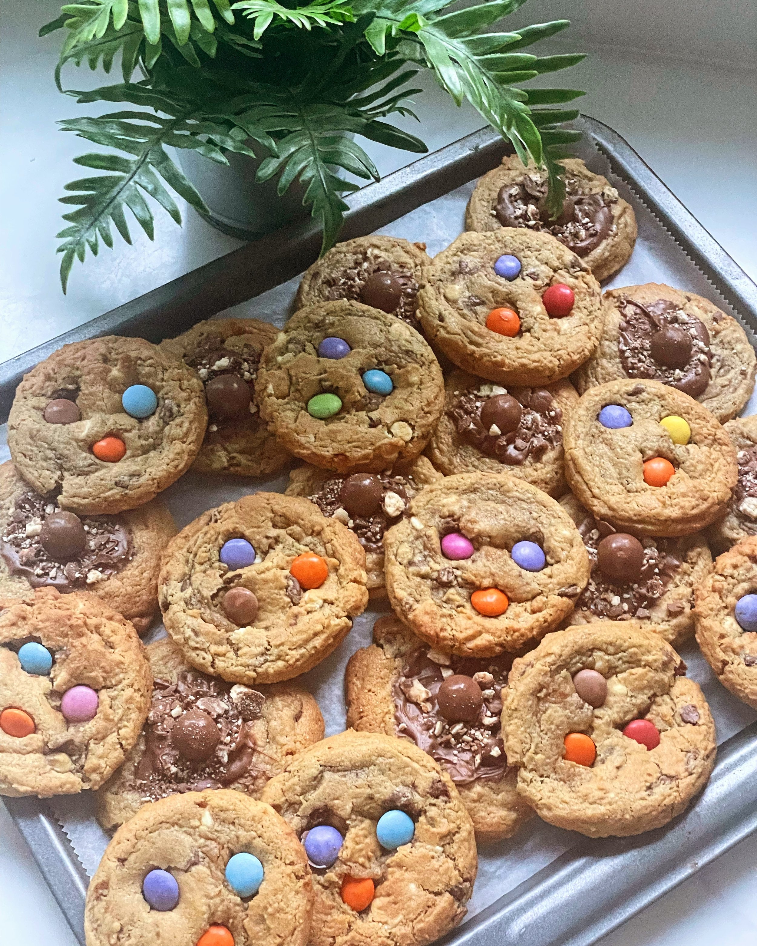 Chocolate chip cookies decorated with colorful candy-coated chocolates on a baking sheet with a green potted plant nearby.