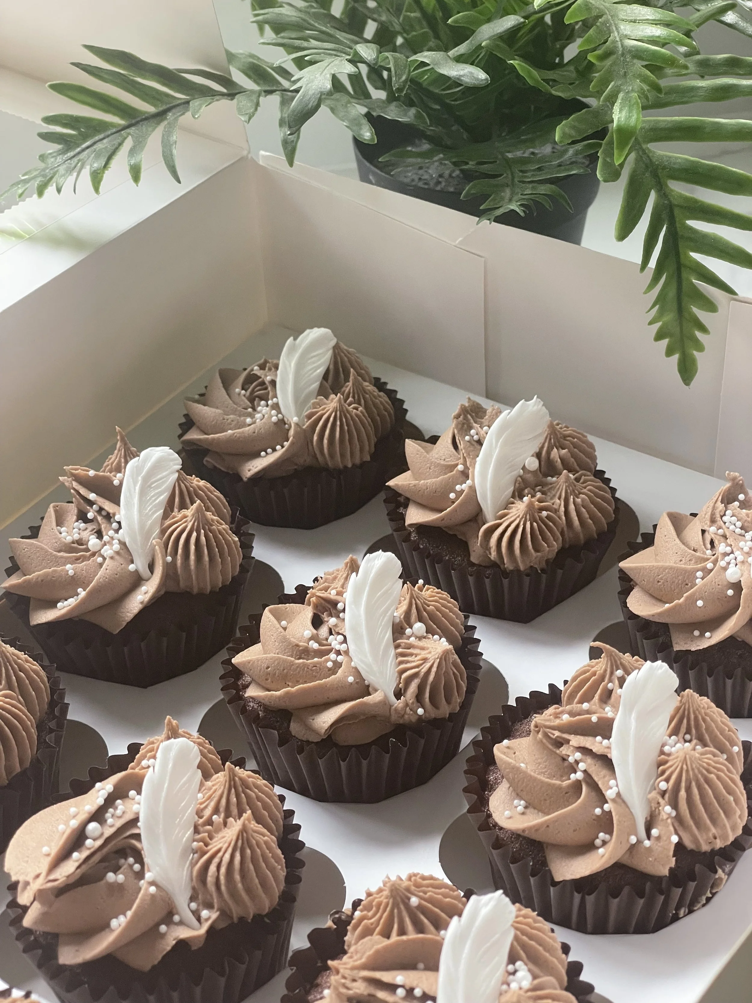 Chocolate cupcakes decorated with tan frosting, white sugar pearls, and white feather-shaped toppers in a white box, with green potted plant in the background.