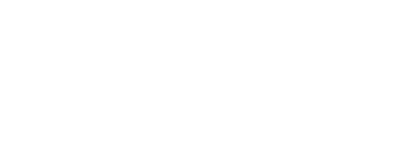 LEICHT