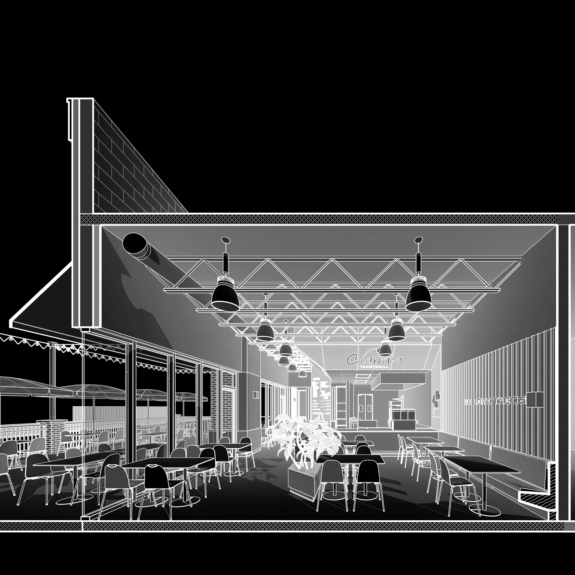 CILANTRO SUGAR GROVE