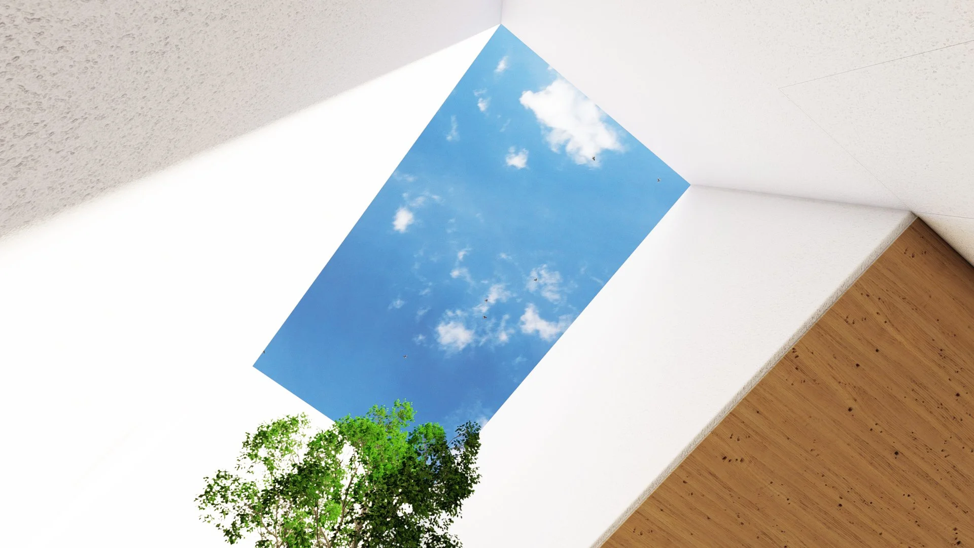 SKYLIGHT.jpg