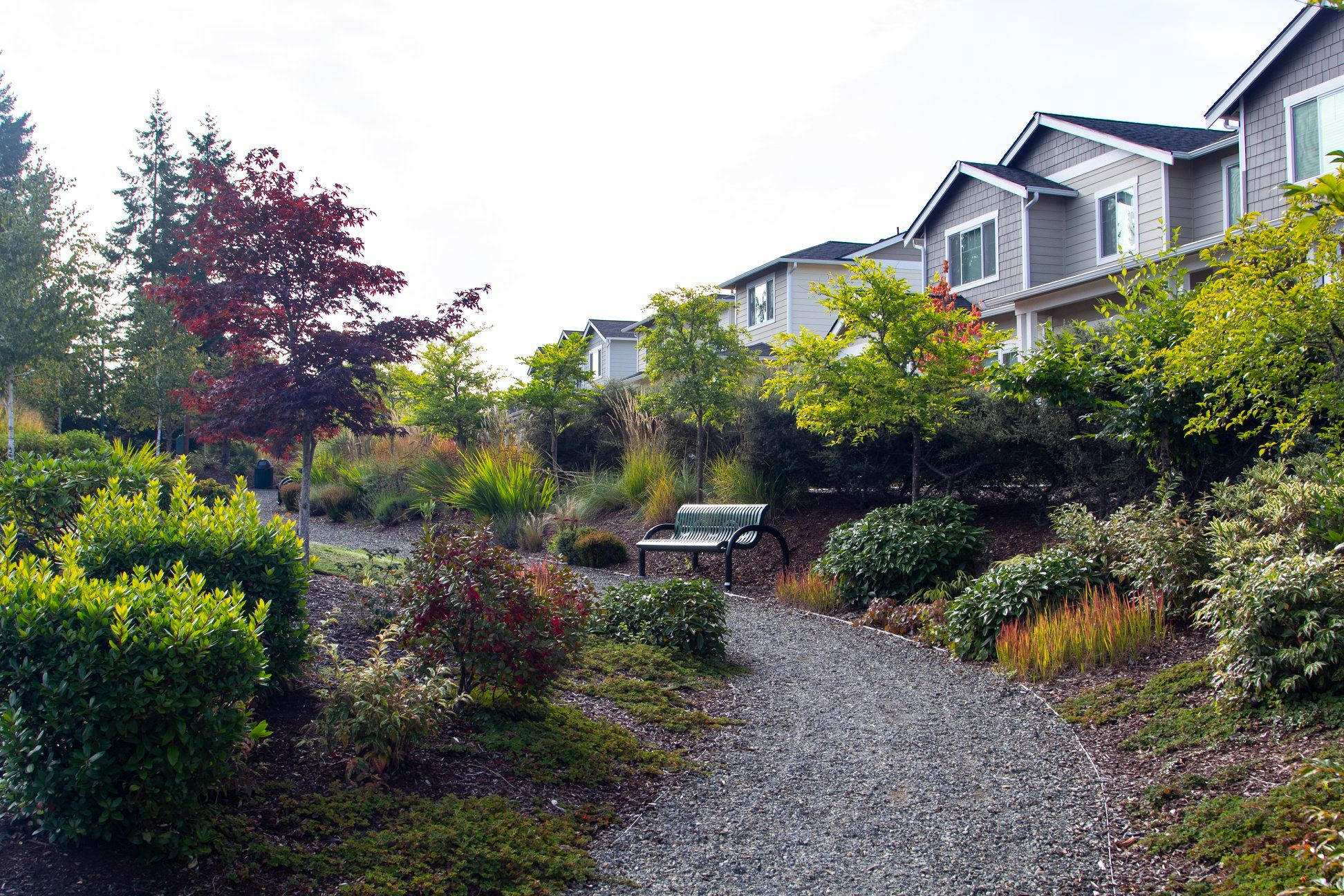 View of a landscaped garden with a gravel path, green bushes, trees, and a outdoor bench in front of modern townhouses.