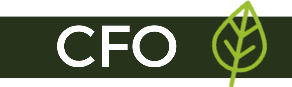 CFO Service