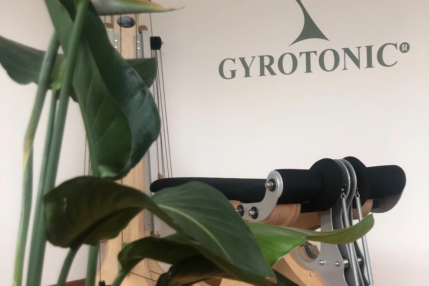 gyrotoniclugano_1770879488_3830737257246816866_67506842981_7.jpg