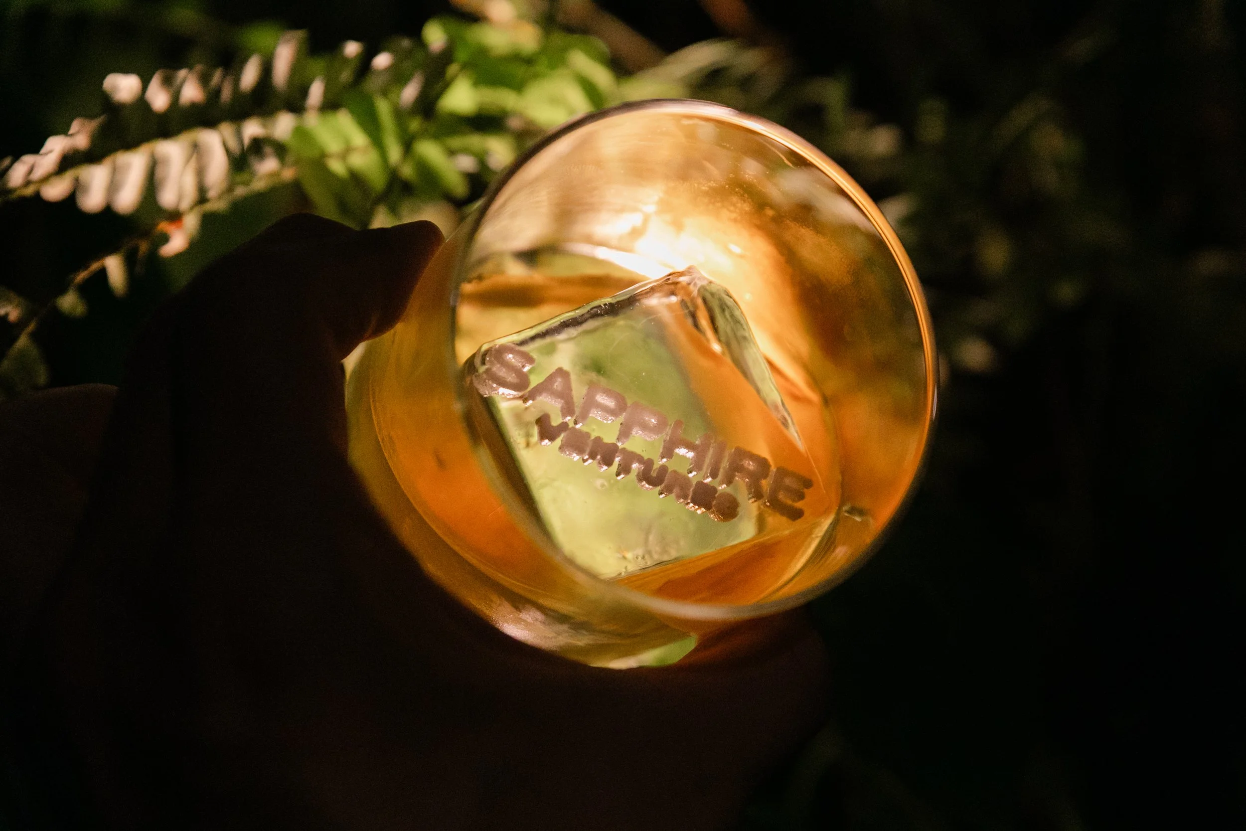 111119_CerebralValley_ 103.jpg