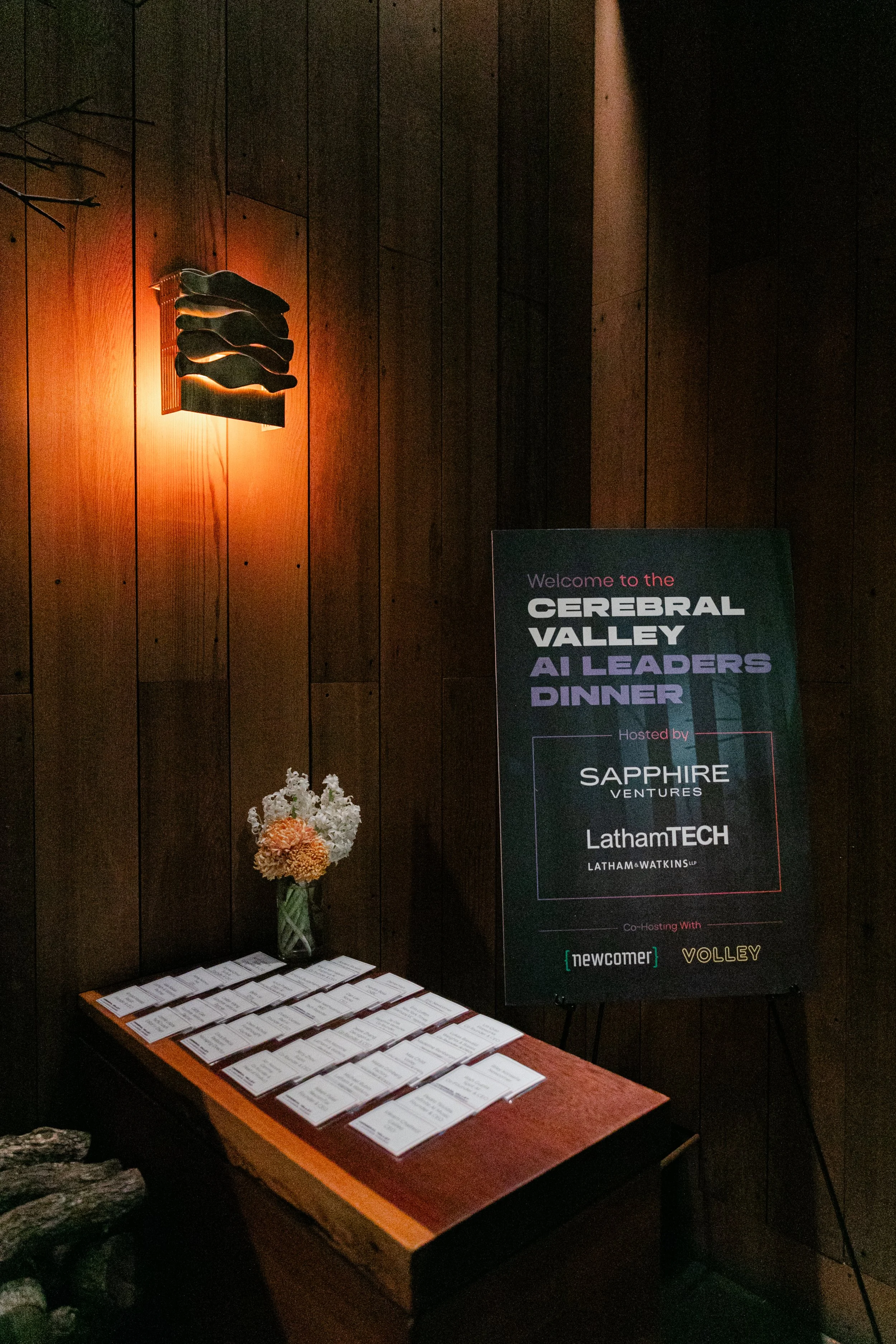 111119_CerebralValley_ 023.jpg