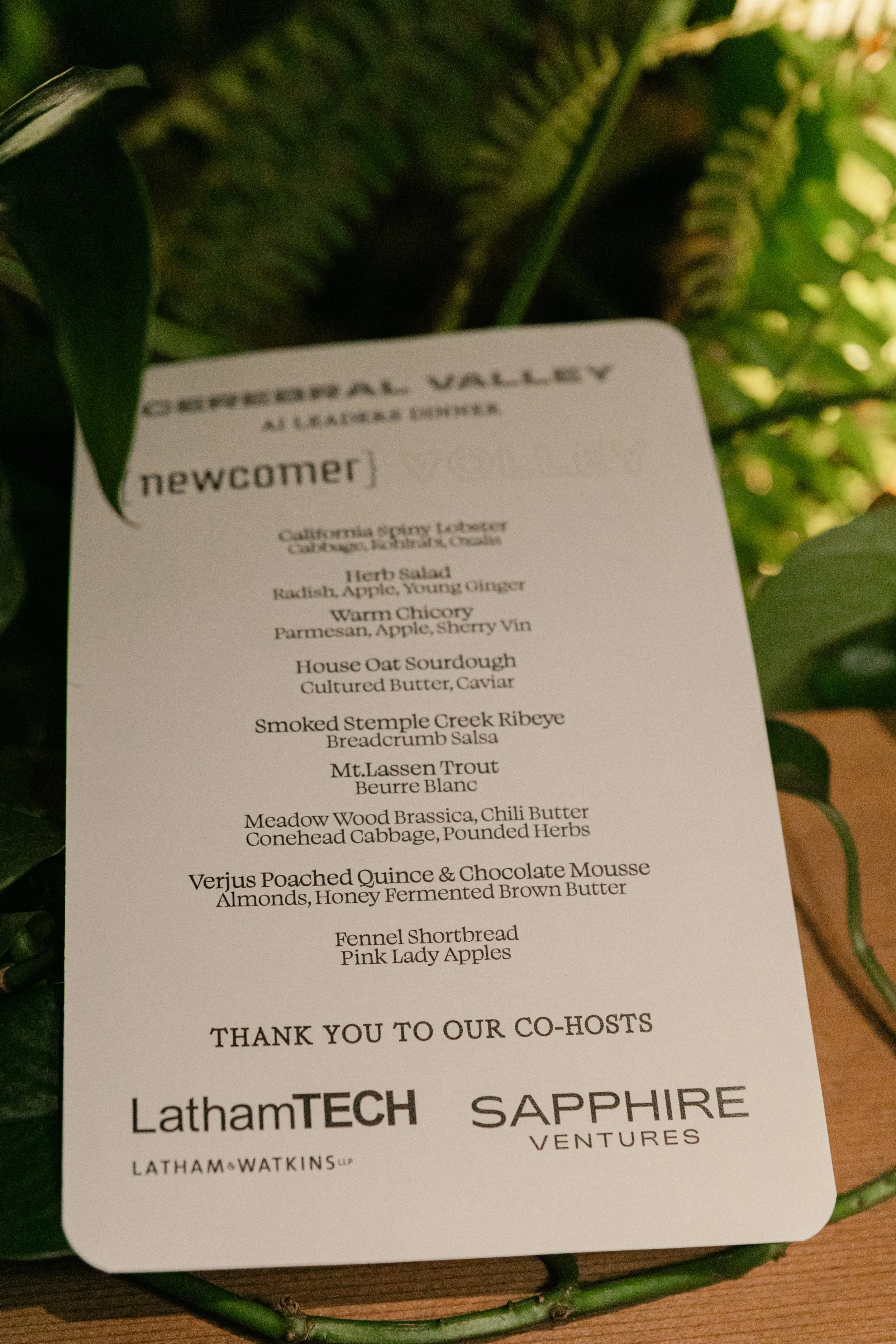 111119_CerebralValley_ 170.jpg