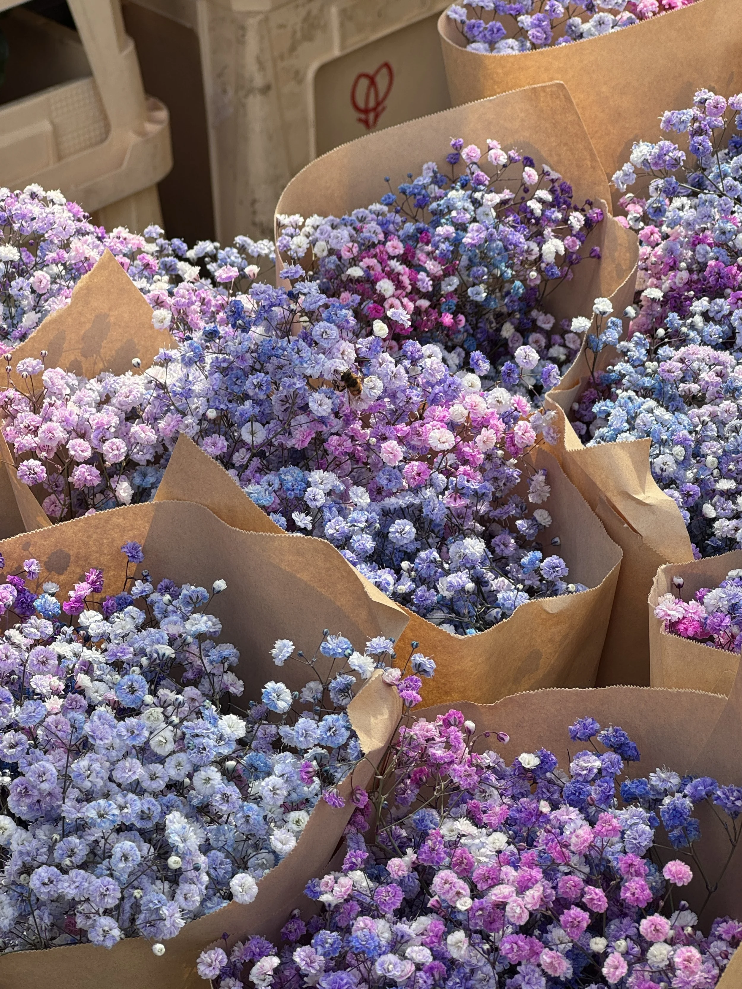 Multiple bouquets of pink, purple, and white gypsophila flowers wrapped in brown paper.