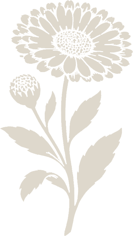 Black and white illustration of a flowering plant with one large blooming flower and two smaller buds, along with leaves on the stem.