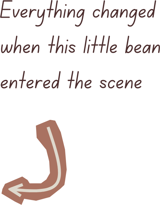 A brown bean with an arrow pointing to its entrance, with the text 'Everything changed when this little bean entered the scene' above it.