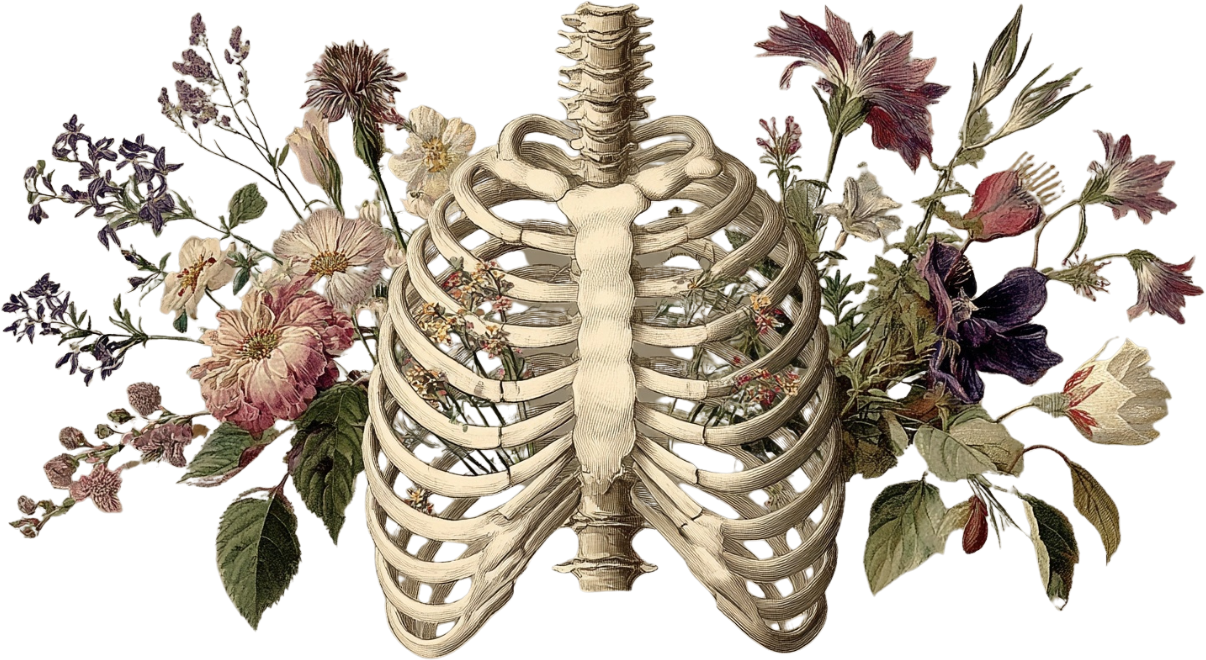 An illustration of a human ribcage with various flowers and leaves arranged around it.