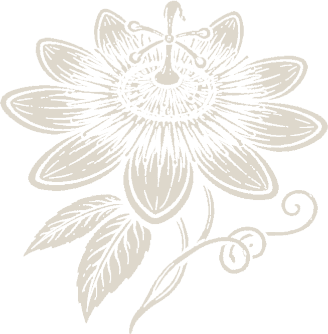 Black and white illustration of a passionflower with detailed petals, leaves, and tendrils.