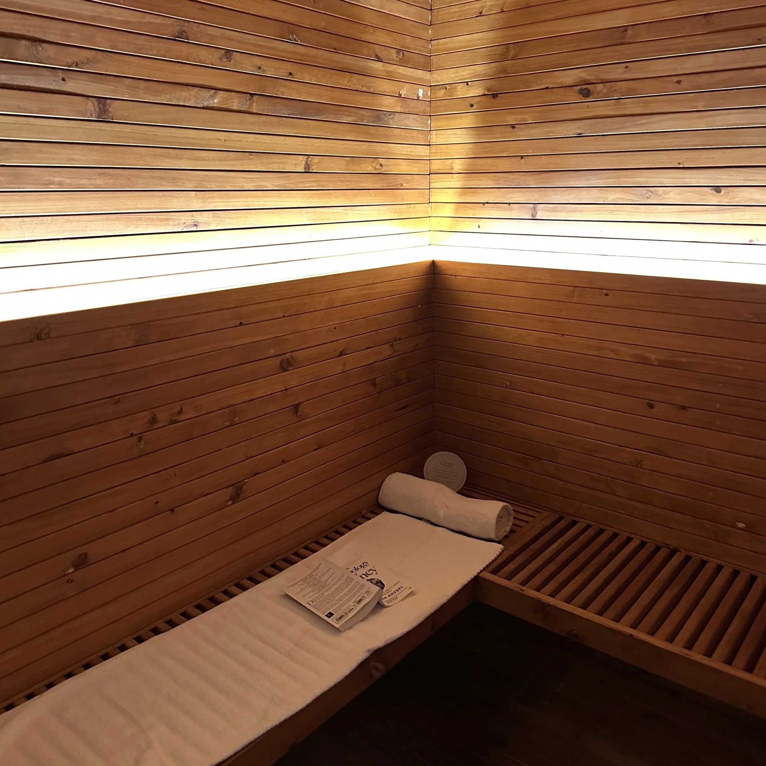 Could Mold be Impacting your Health?