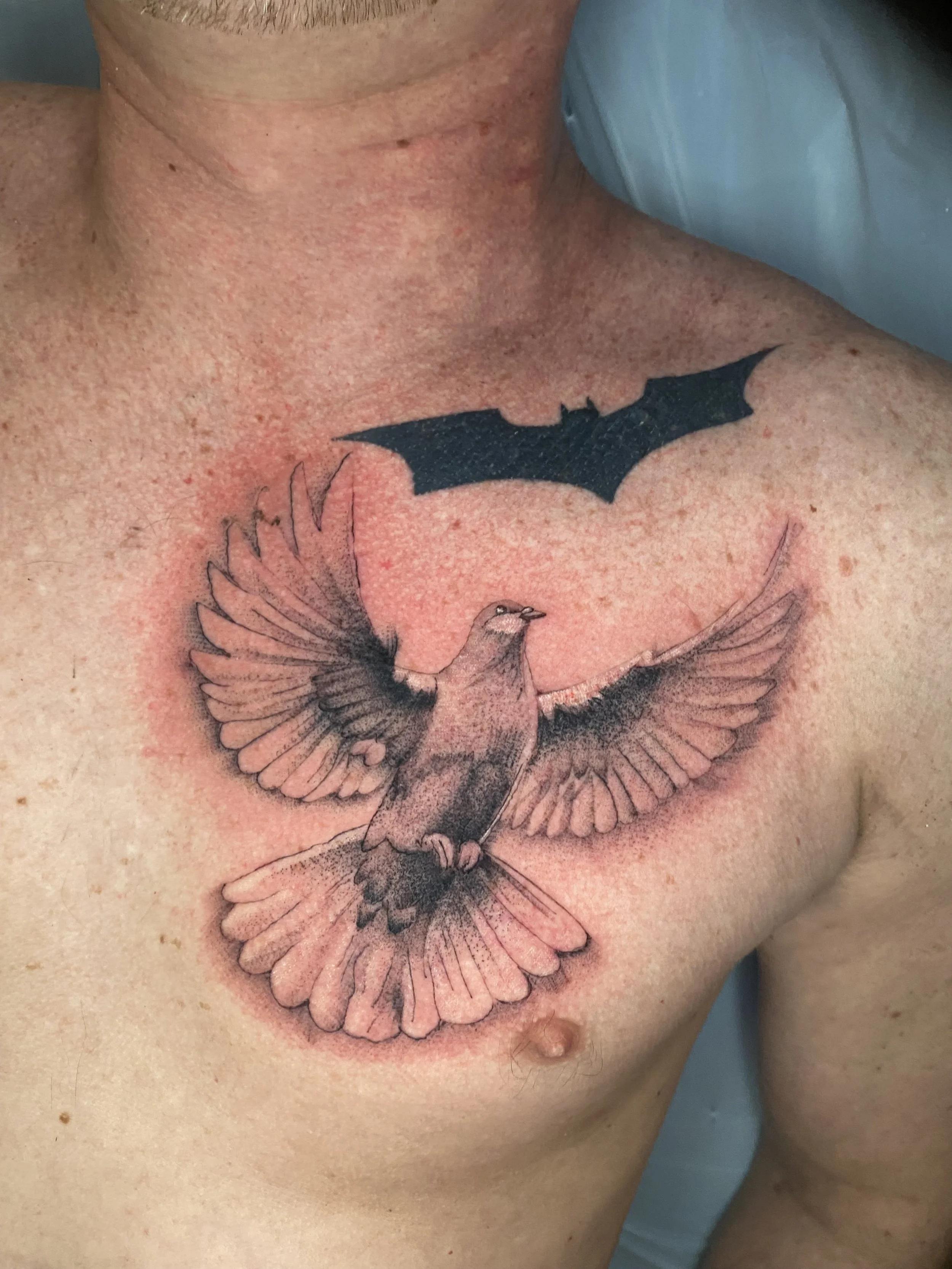 Black and Grey Realistic Stipple Dove