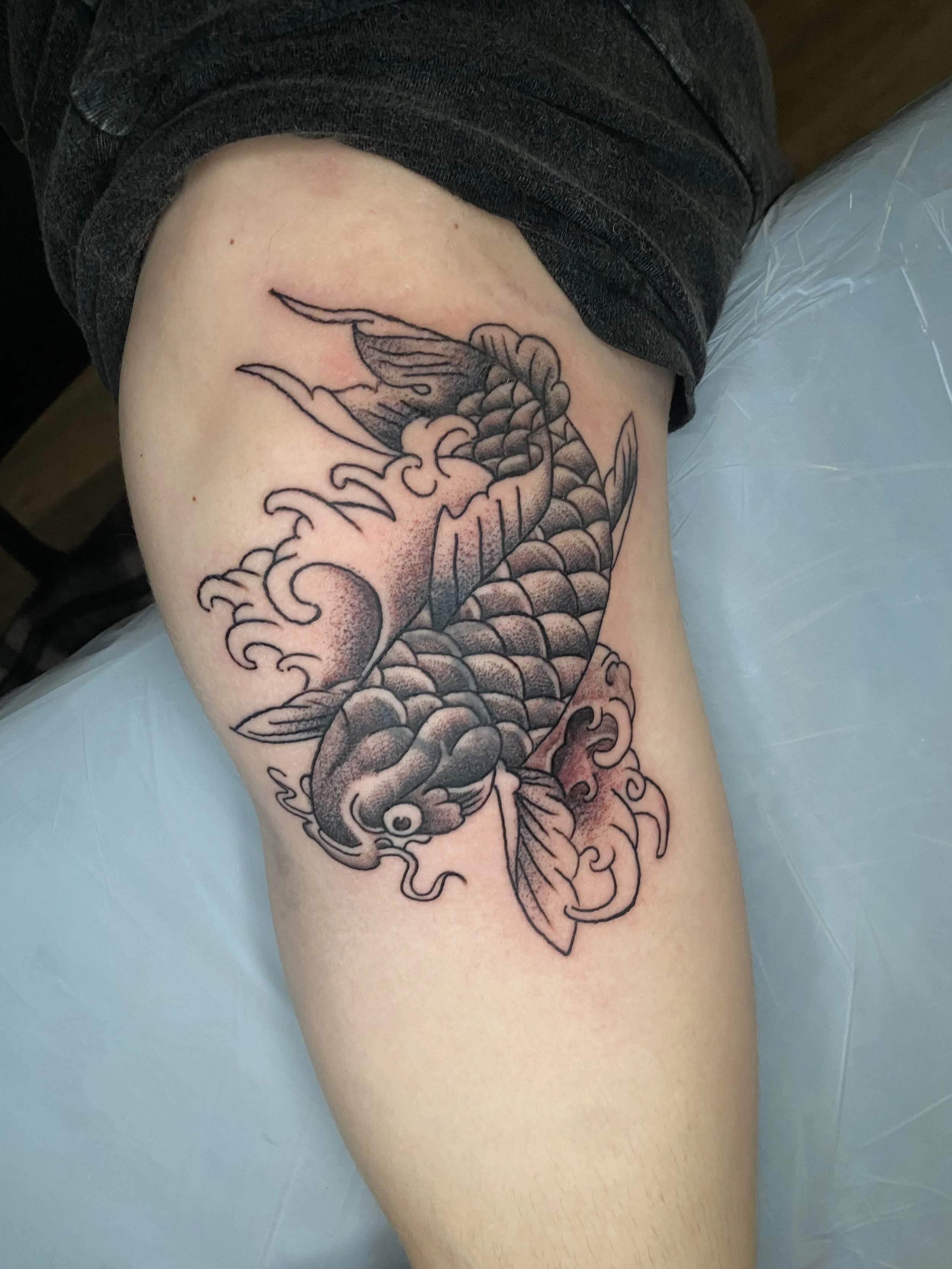 Black and Grey Koi Fish