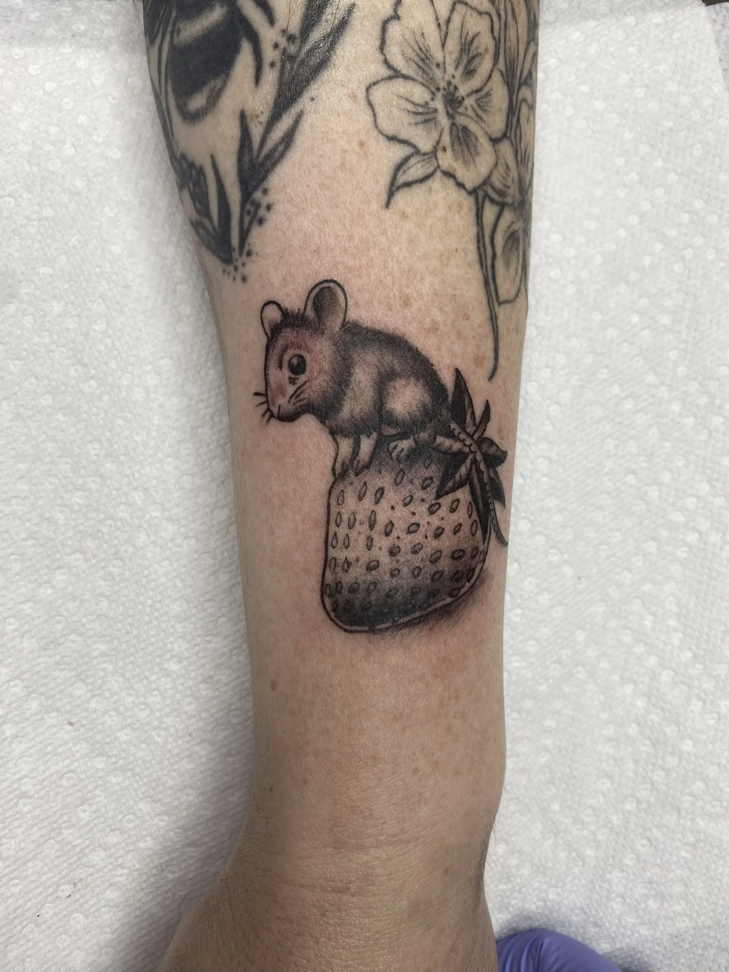 Black and Grey Mouse and Strawberry