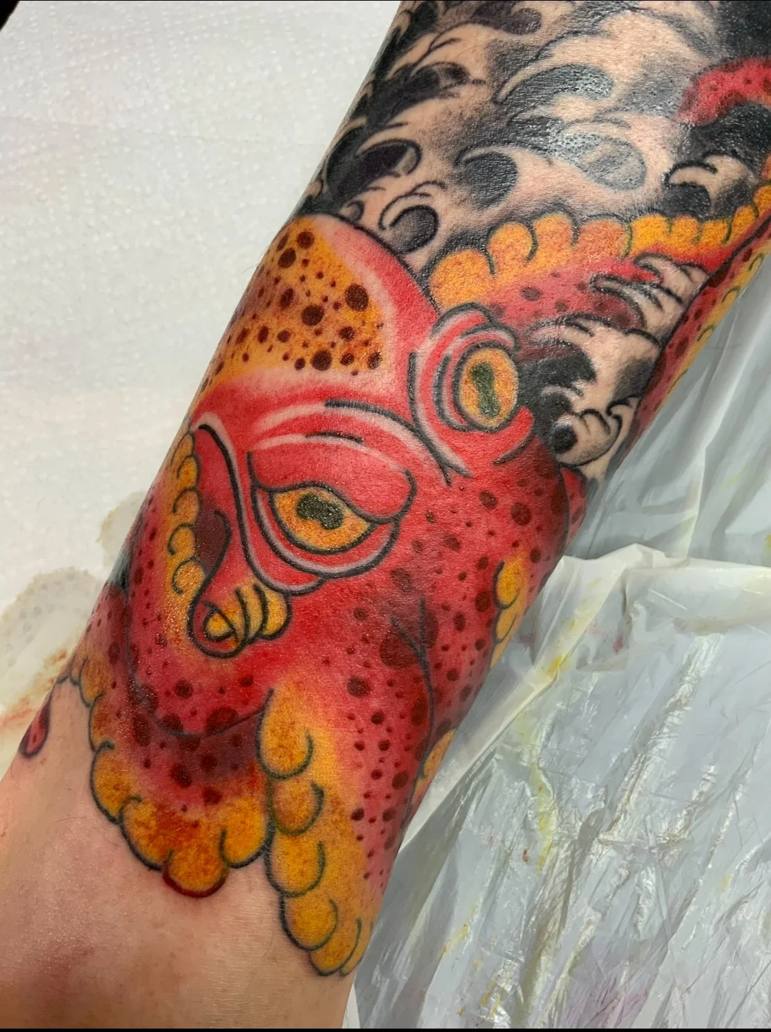 Japanese Colored Octopus