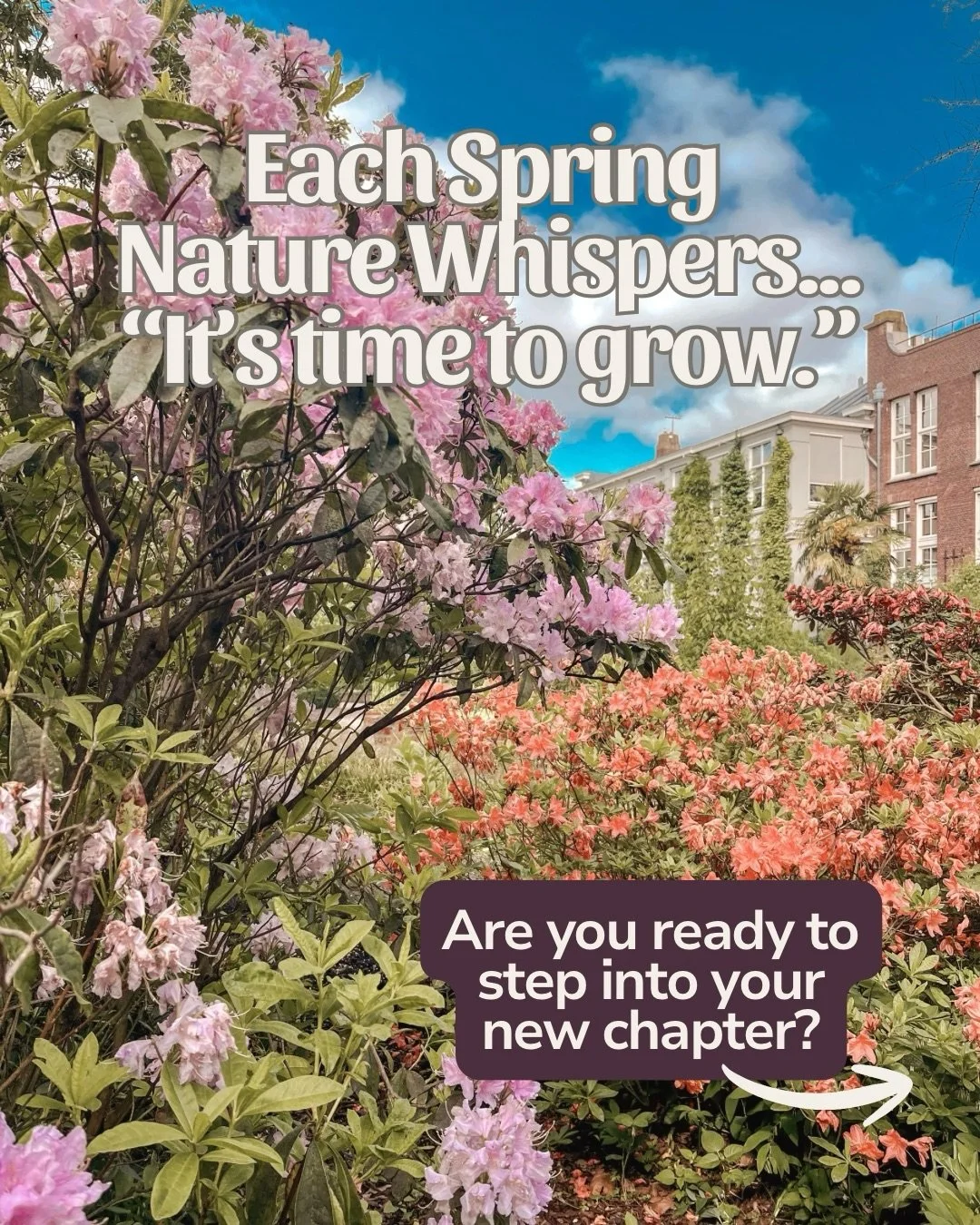 Well, first off, Happy Friday the 13th friends! Check my last post for a little magical inspiration for the day. Also, Spring is just one week away! And each year it gives us a little message and nudge that, it is indeed time to grow. Spring is the b