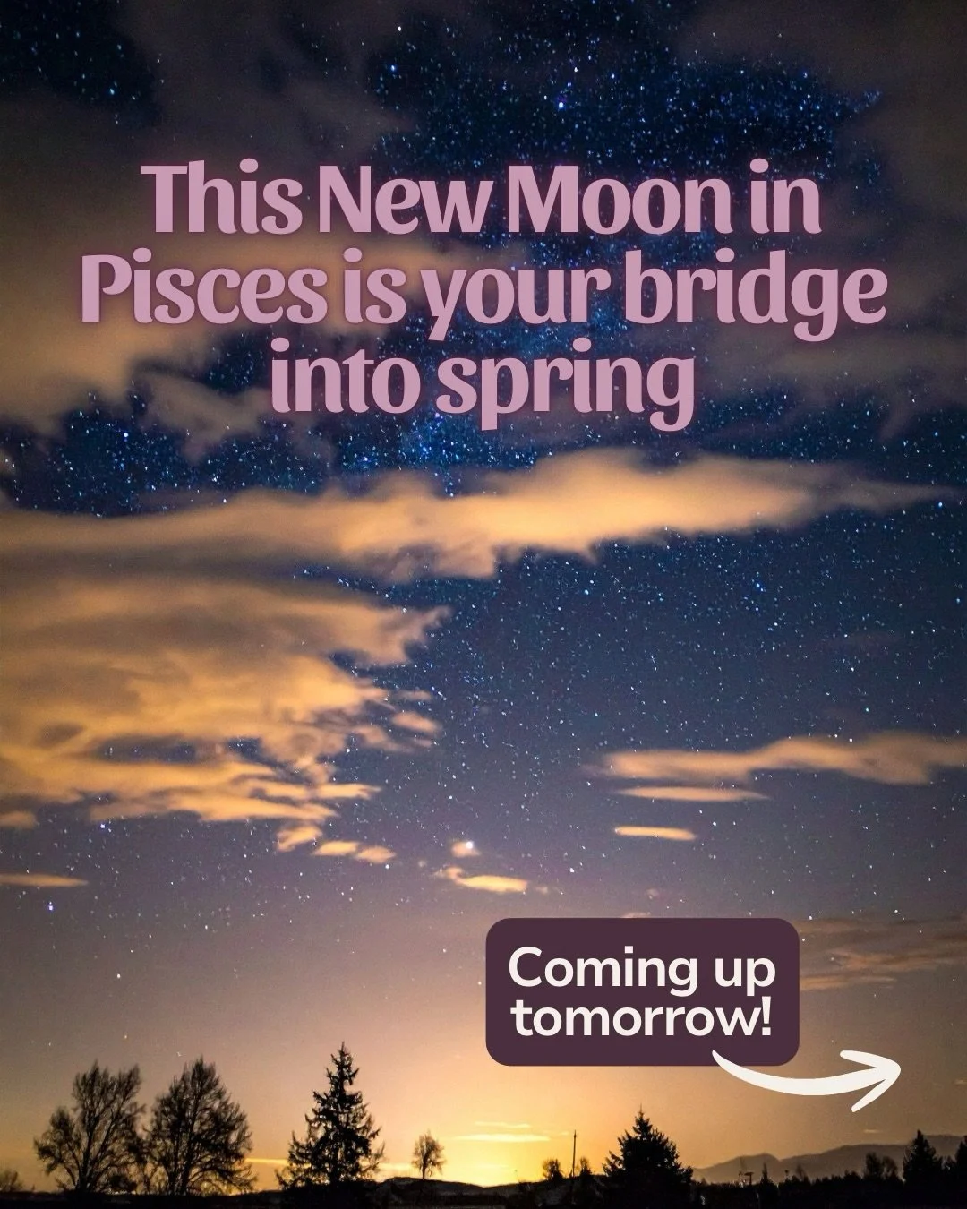 New Moon in Pisces is tomorrow friends! I love this week, just so much good energy. This is a perfect moment to pause before we enter a brand new season. It&rsquo;s like the universe saying, here you go, I&rsquo;ve got your back, let&rsquo;s prepare.