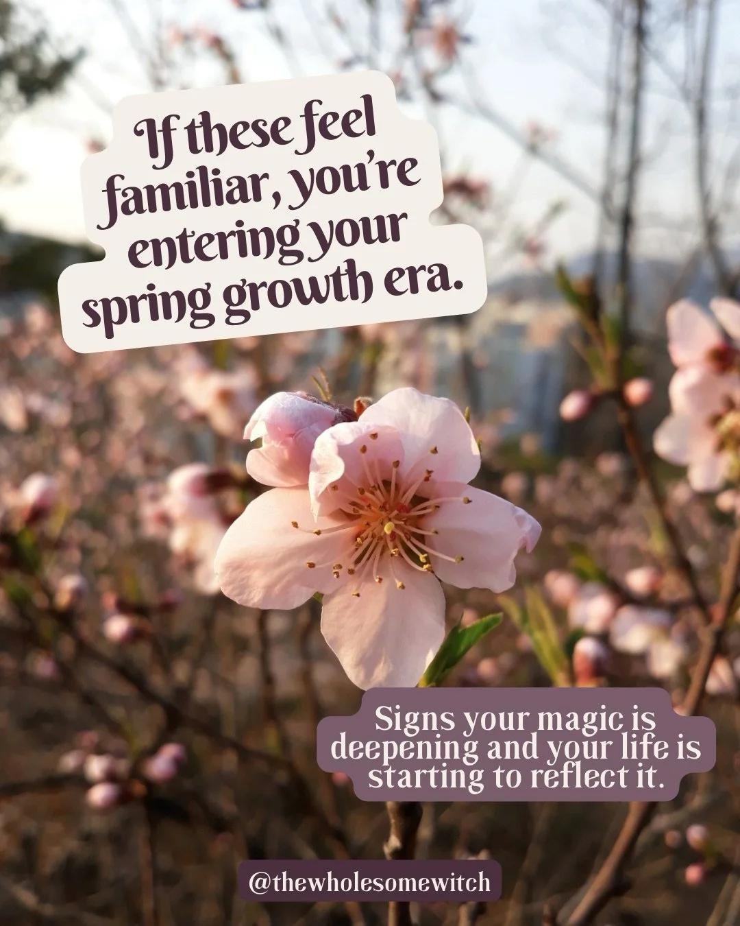 It may be spring and we may have just entered a new astrological season, but you don&rsquo;t suddenly become a different person overnight. It&rsquo;s a process and shows up in smaller ways. Catching yourself in a pattern while it&rsquo;s happening. S