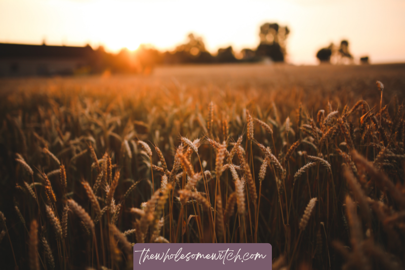 Lammas: A Mini Celebration Guide