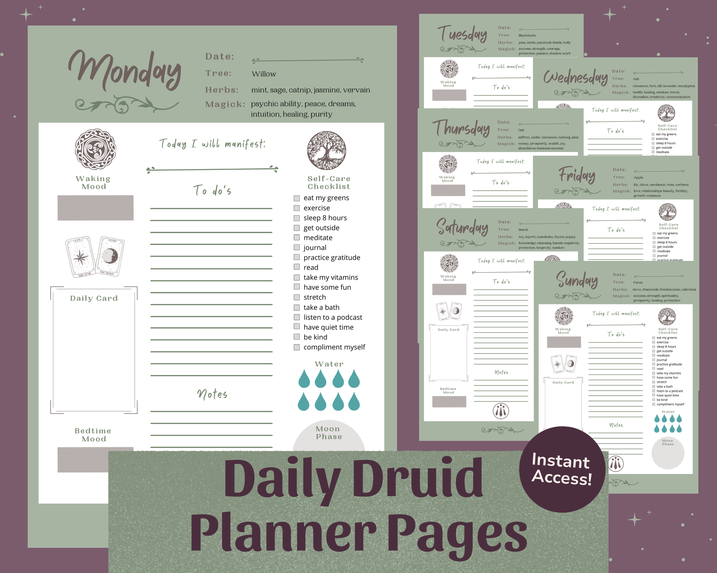 ETSY MAIN PIC - Daily Druid Planner 2026.png