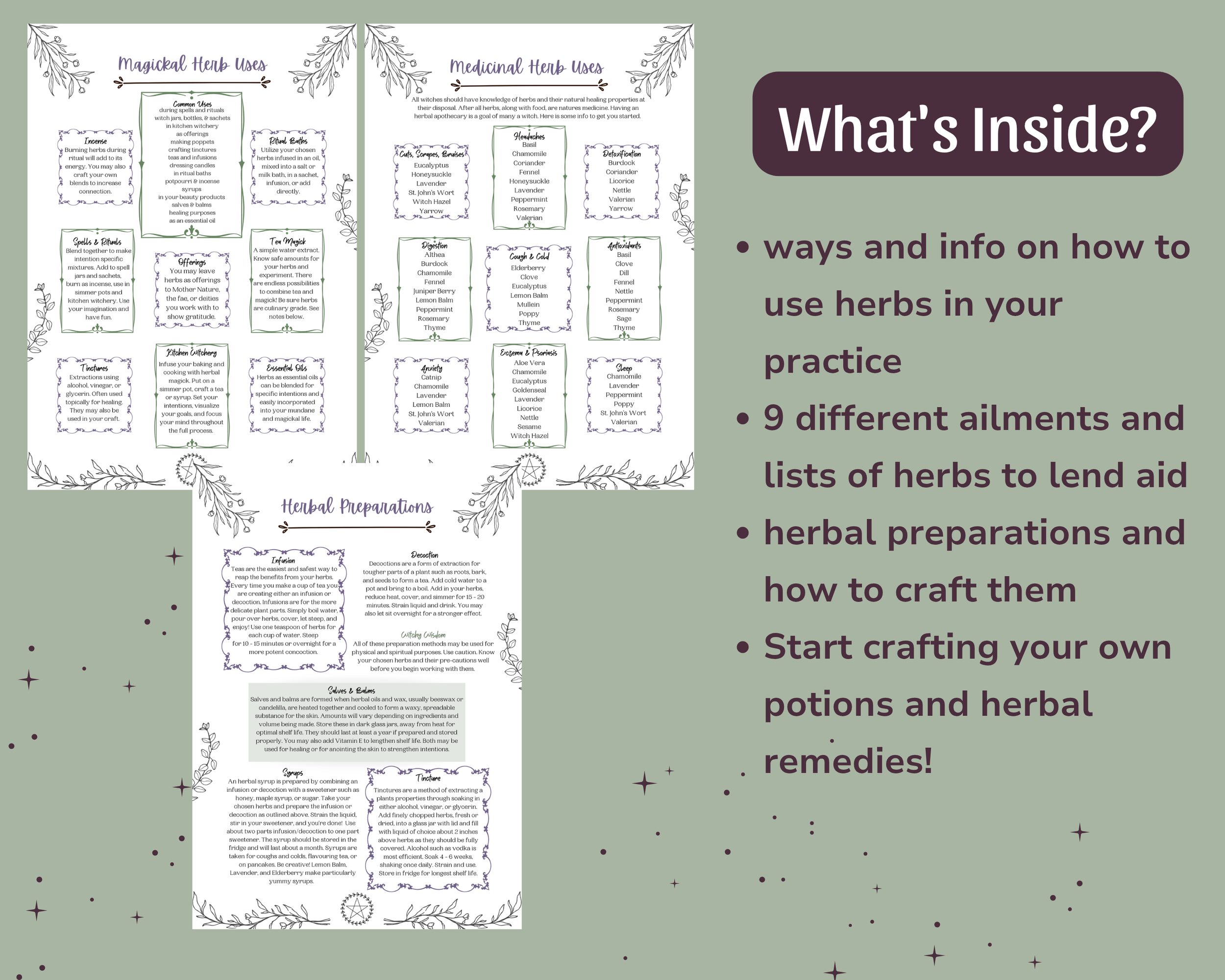 Etsy Product Pic 3 - Herb Collection 2026.png