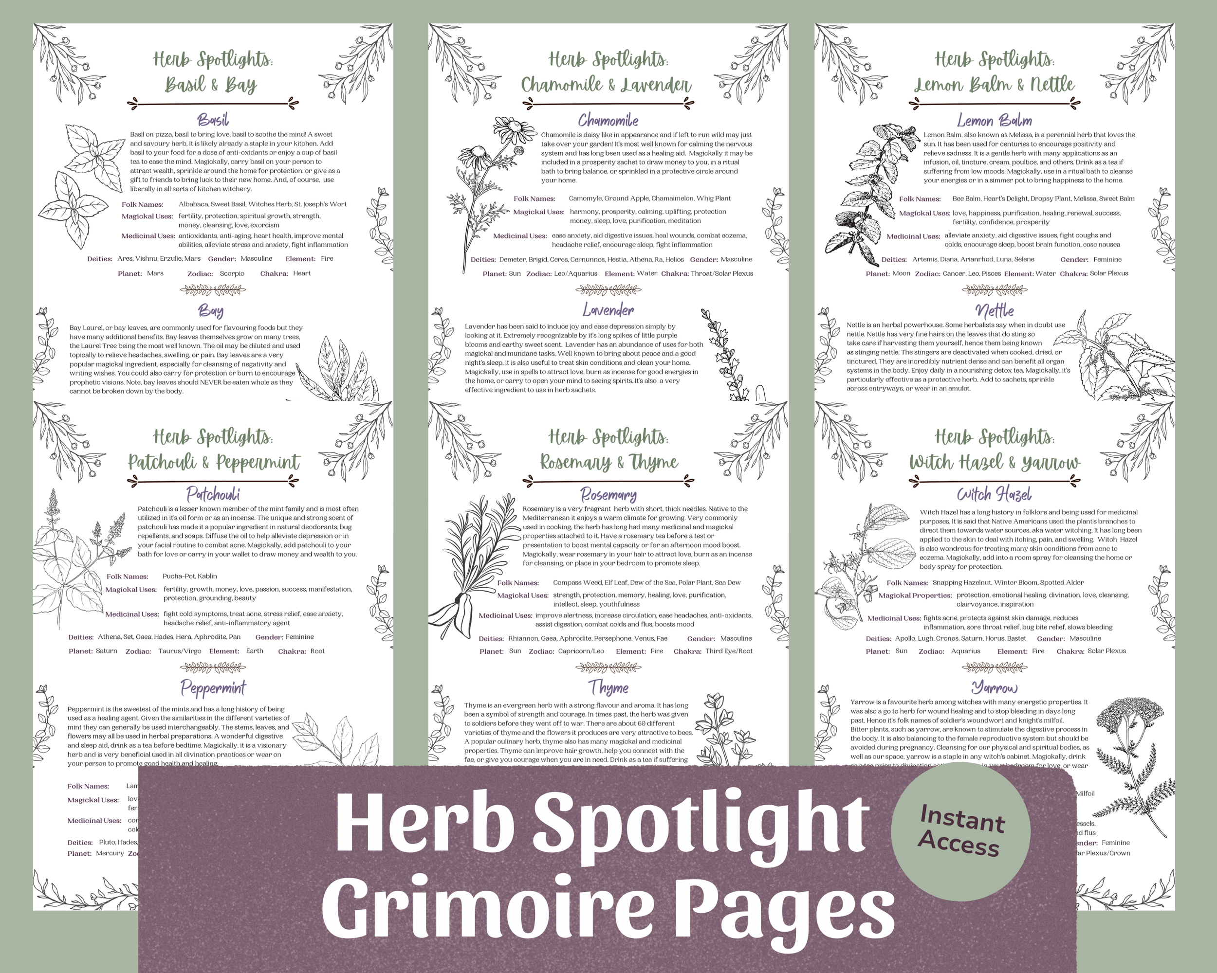 ETSY MAIN PIC - Herb Spotlight Bundle 2026.png