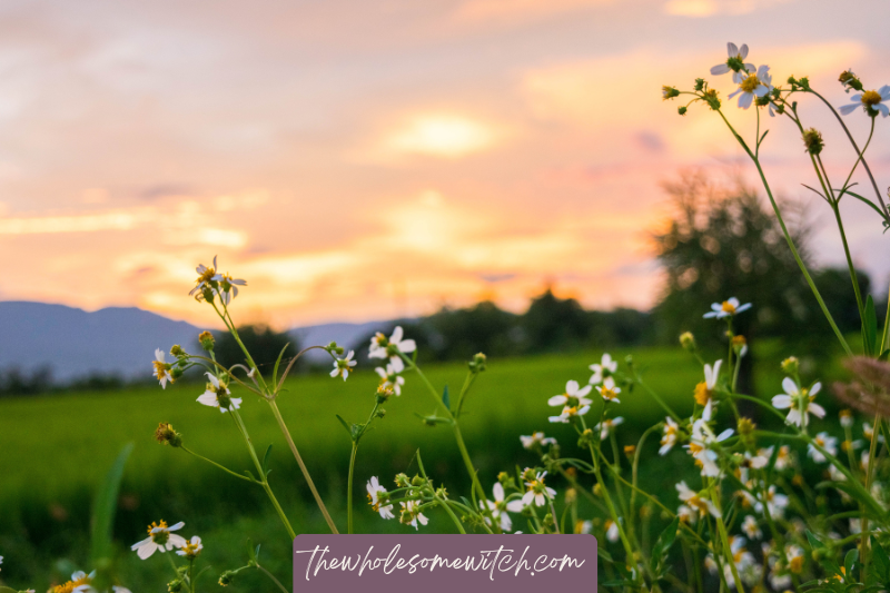 Air Element Correspondences: Herbs, Crystals, Colours &amp; Symbols