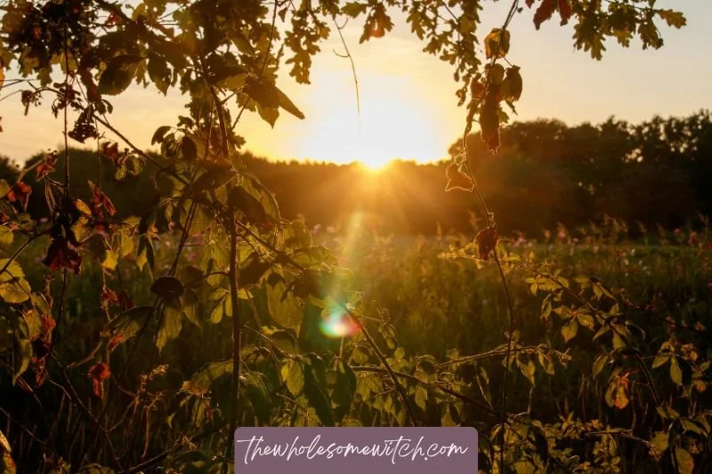 Summer Solstice Sunrise Ritual