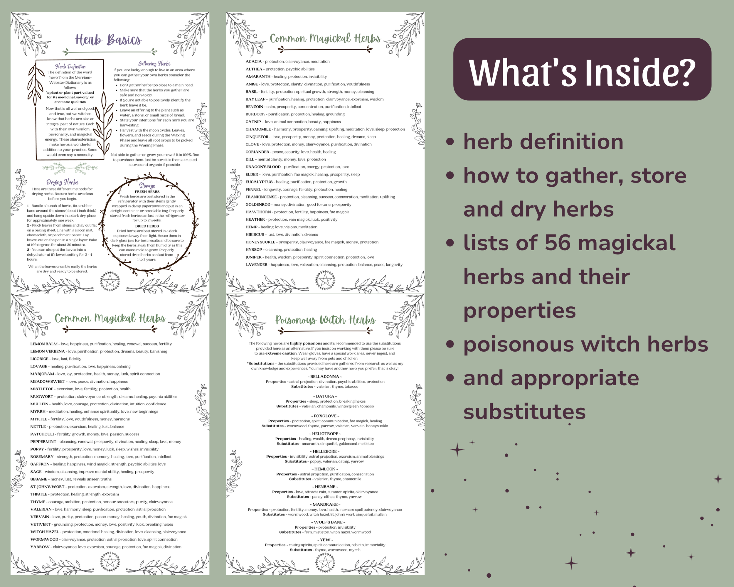 Etsy Product Pic 2 - Herb Collection 2026.png