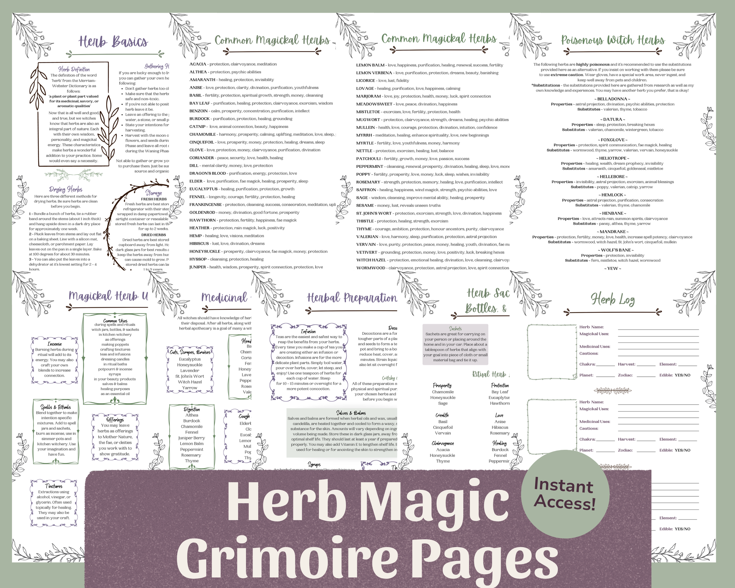 ETSY MAIN PIC - Herb Collection 2026.png