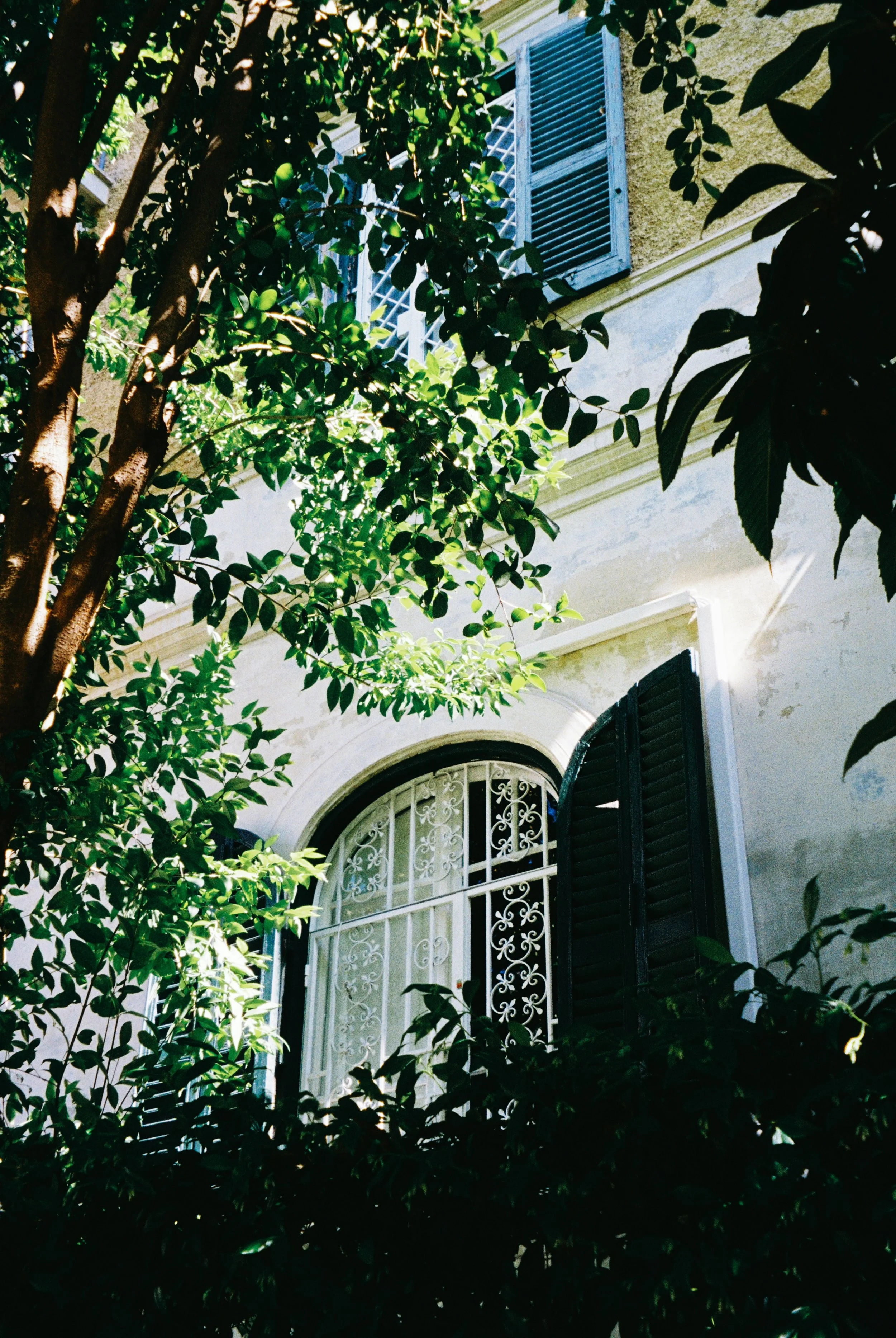 image00005 (4).jpeg