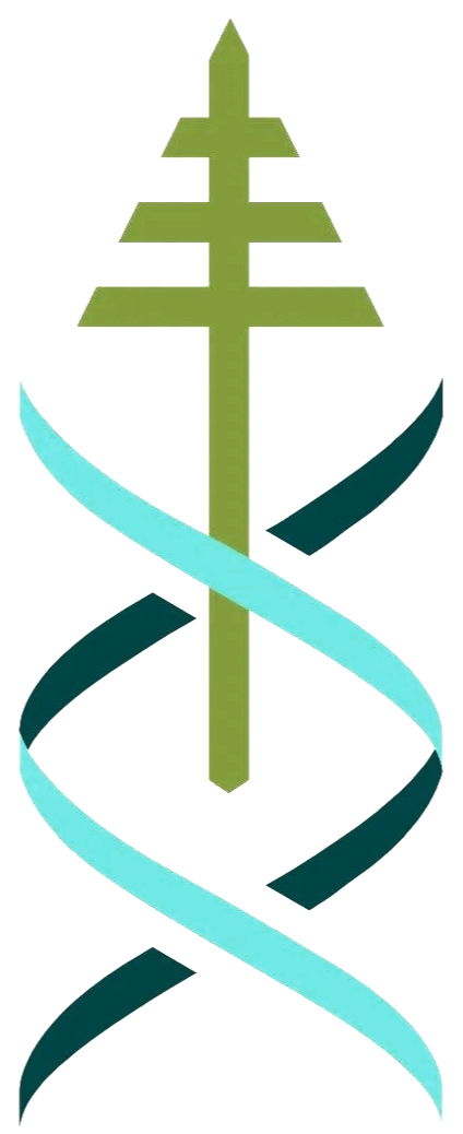 Tree Improvement Program
