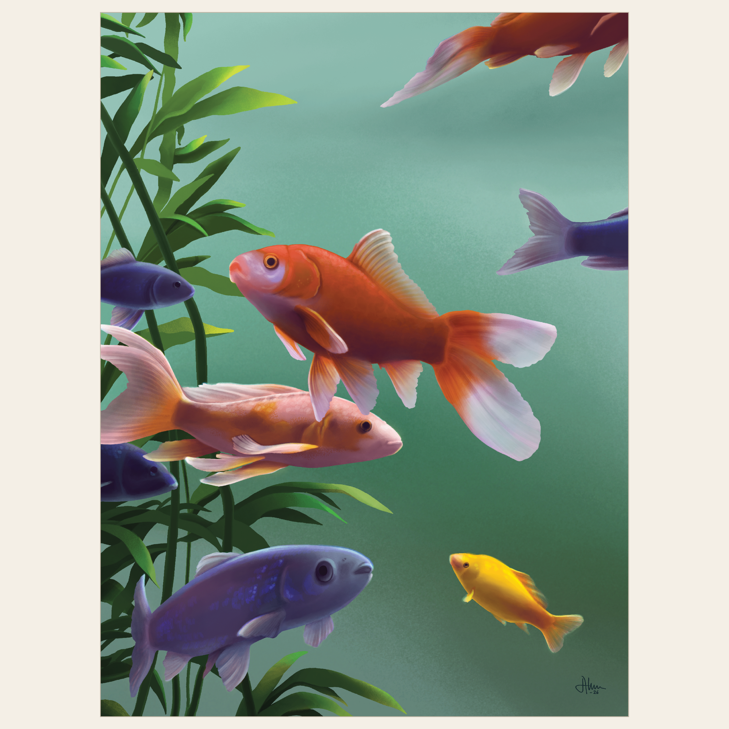 Produktbilder webshop.png