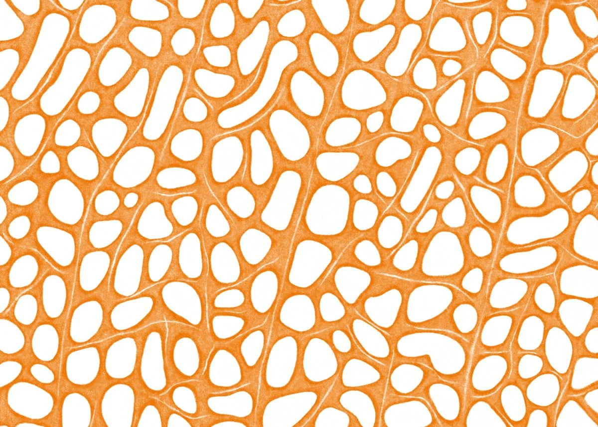 En orange nätliknande struktur med många öppenheter på en vit bakgrund.