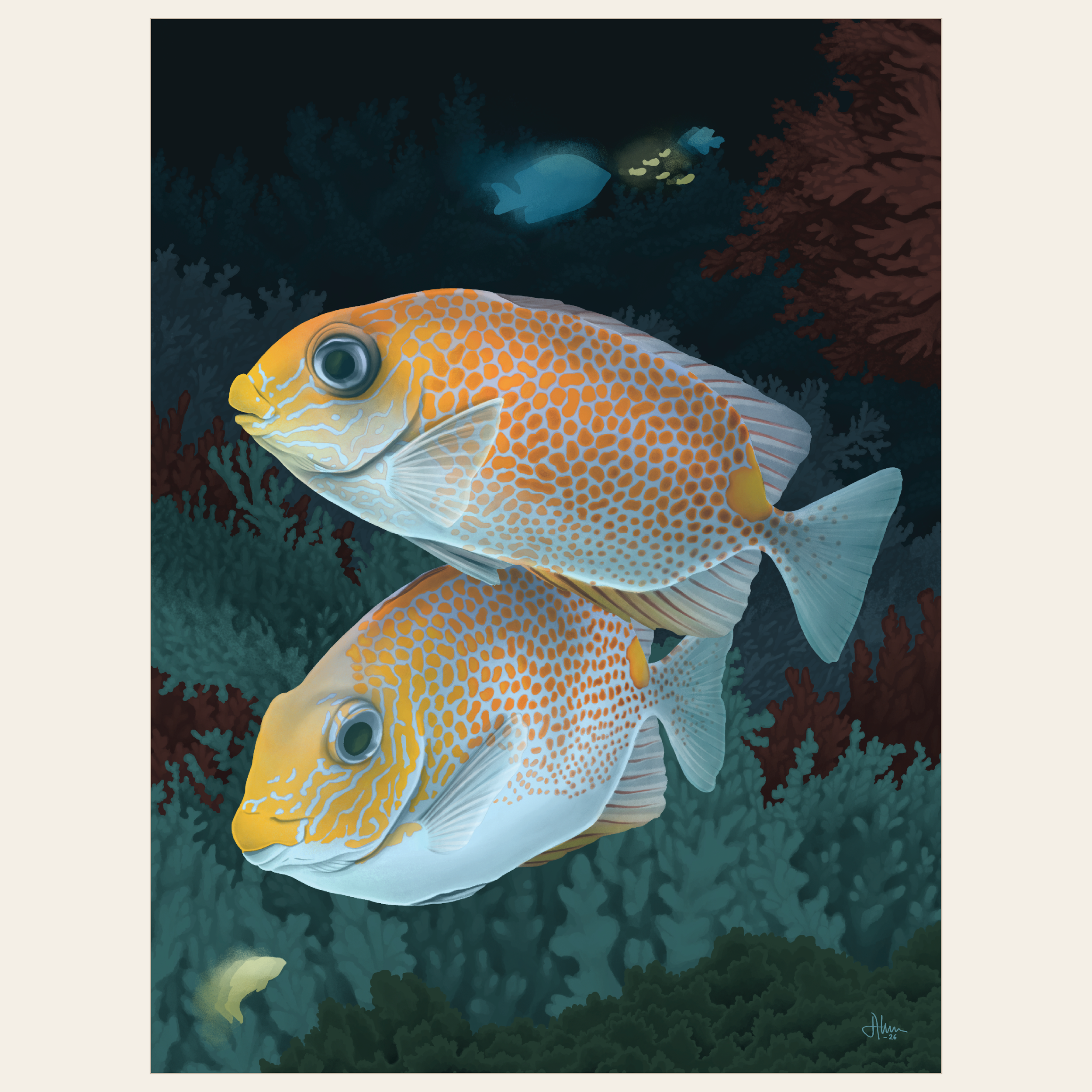 Produktbilder webshop2.png