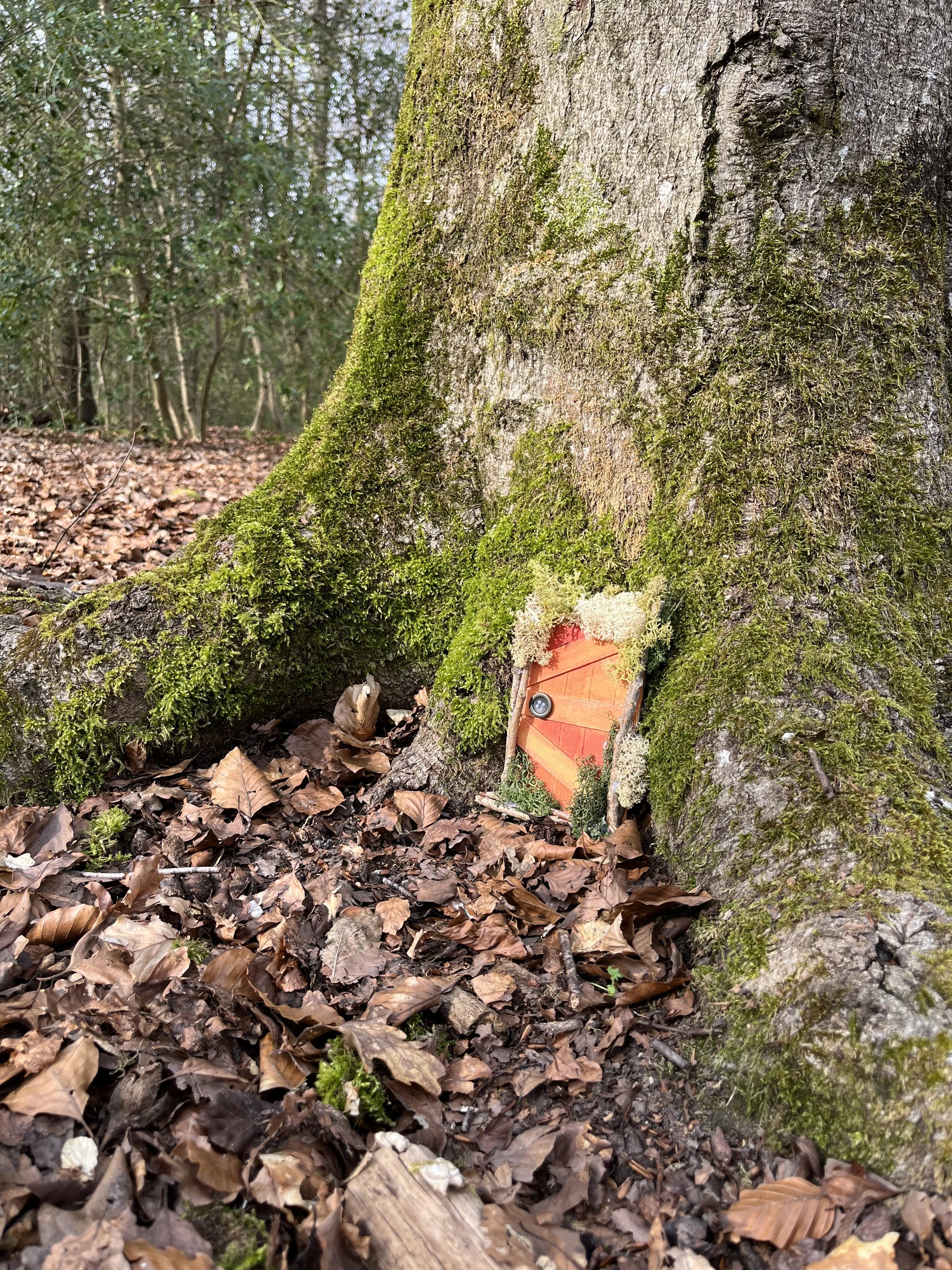 Little Creators: Fairy Doors Workshop