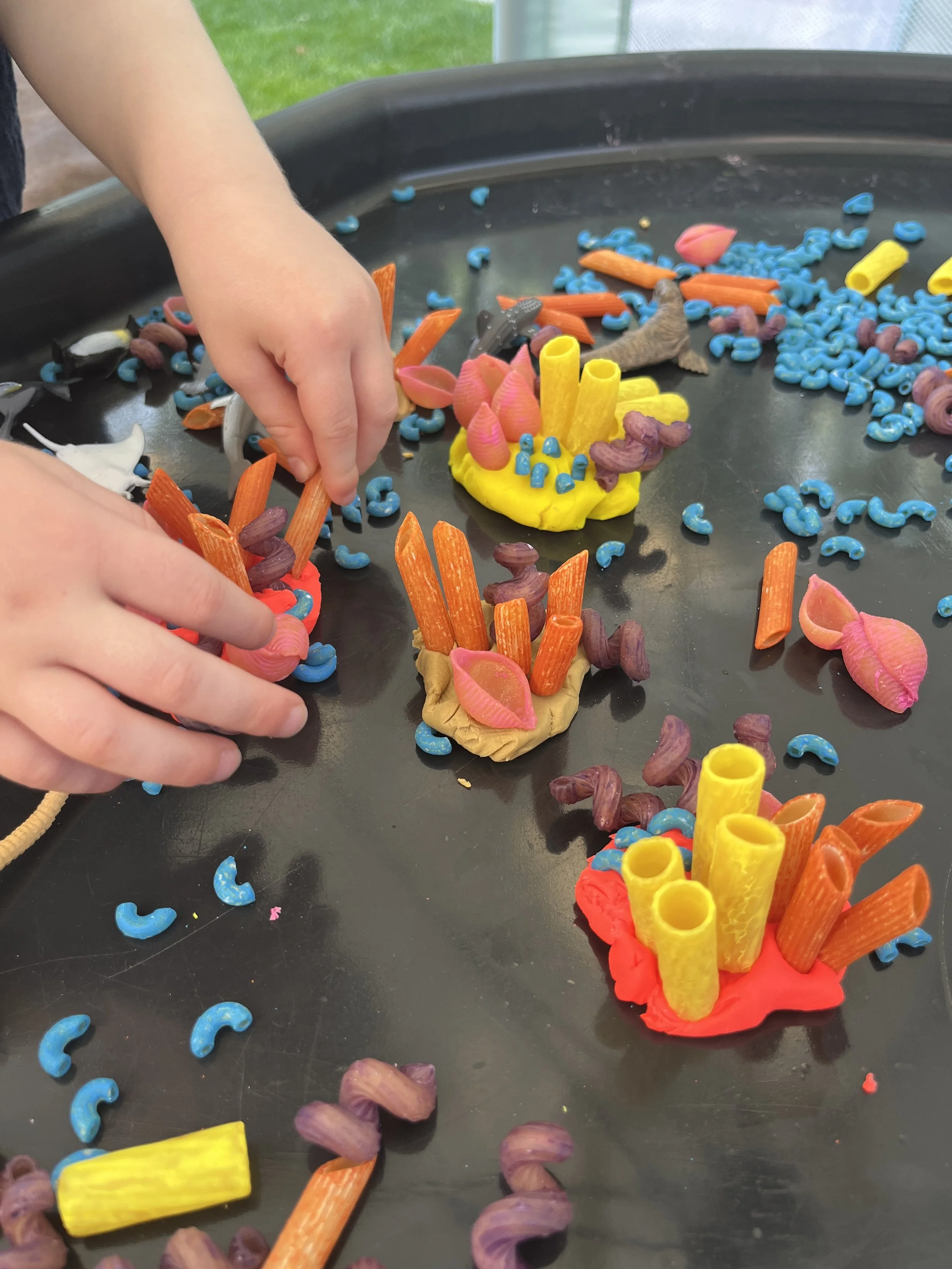 Mini Makers: Coral arrangements with pasta shapes