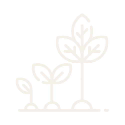 Illustration of three growing plants with roots, gradually increasing in size from smallest to largest.