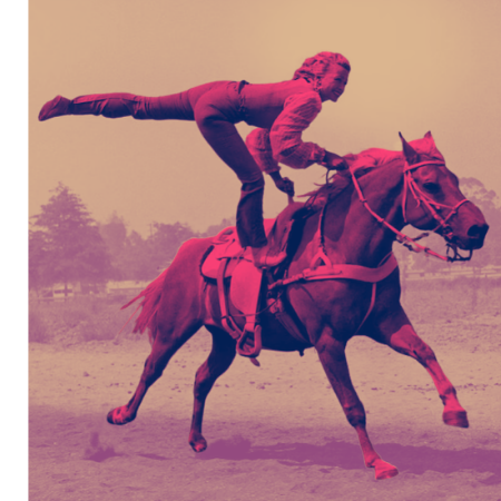 Novice- Horse and Rider registration