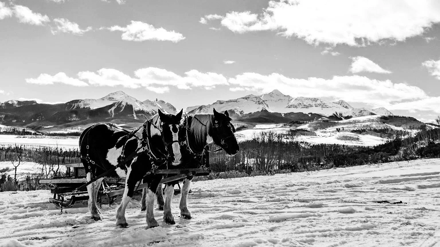 Two horses hitched to a wooden cart standing in snowy landscape with mountains in the background, under partly cloudy sky.