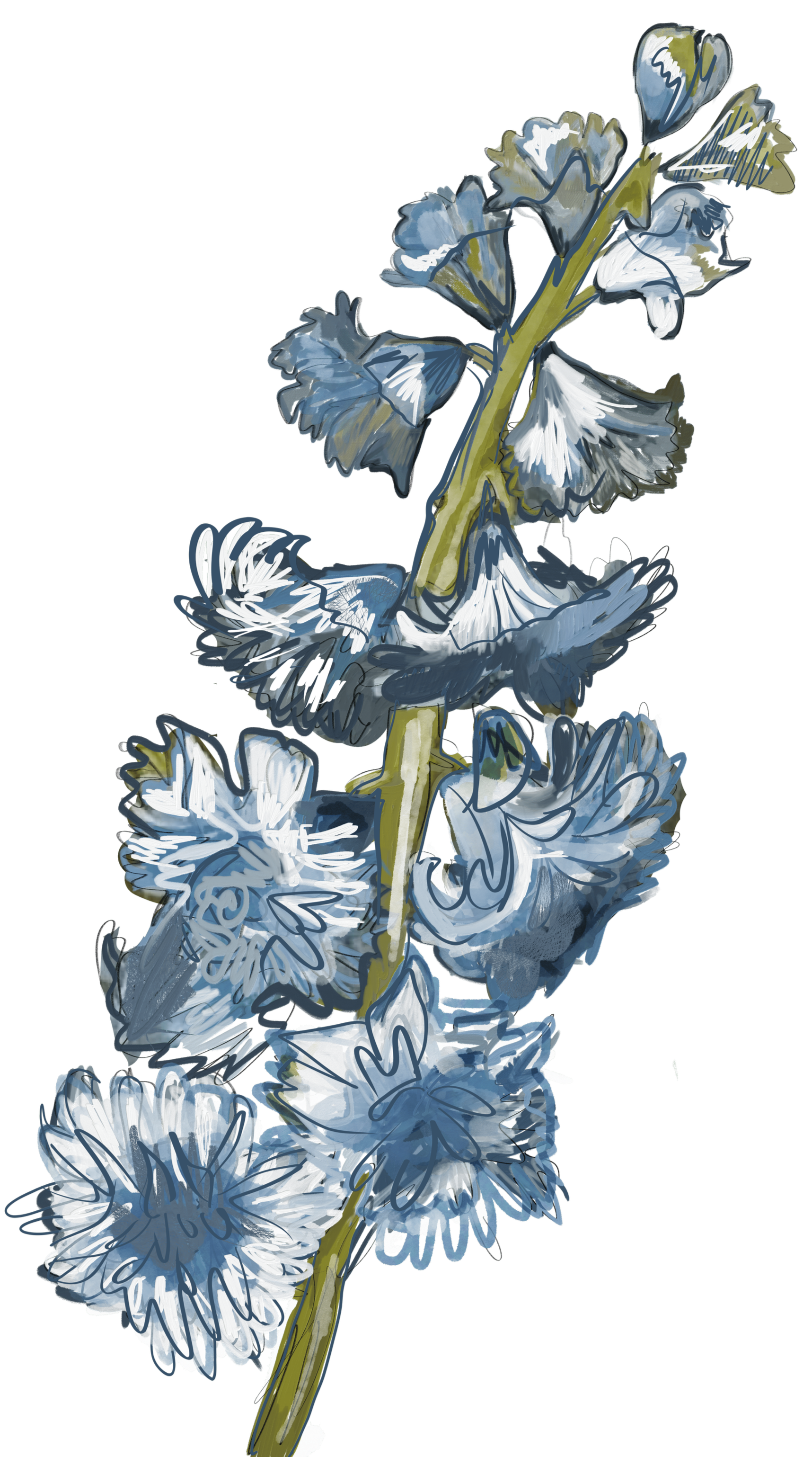 Fiori blu e bianchi con foglie verdi sullo sfondo nero