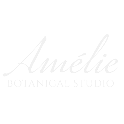 Logo bianco su sfondo nero con il testo 'Amélie Botanical Studio'.