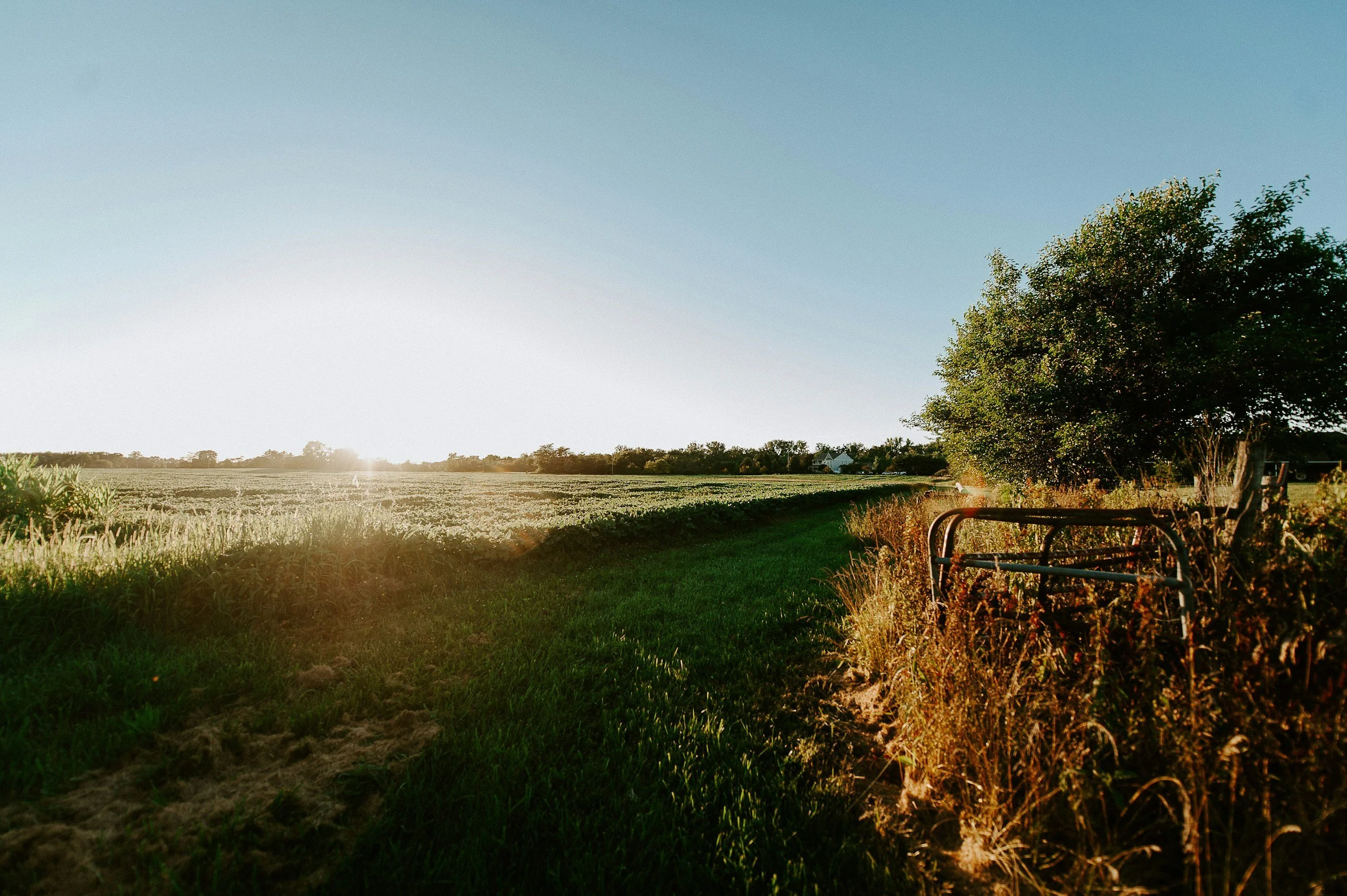 A golden-hour farmland landscape with open green fields, a weathered fence line, and a lone tree — evoking the wide-open foundation of small business growth.