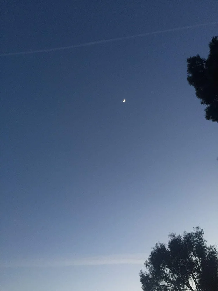 Unknown #2, 2017.jpg