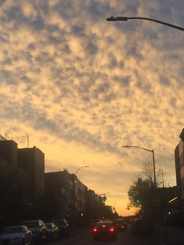 New York, NY, 2017.jpg