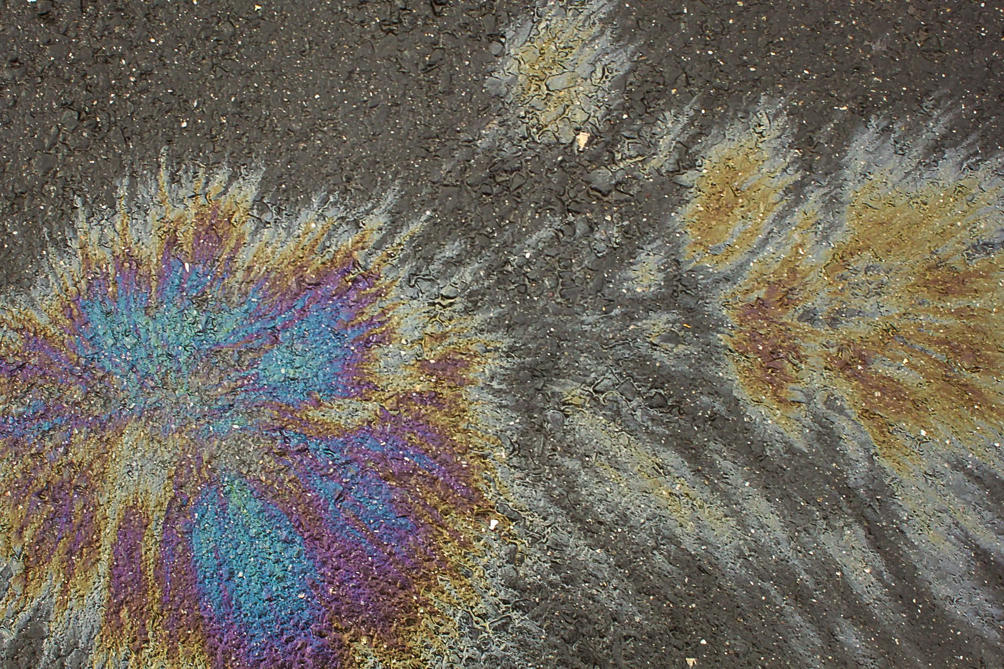 Oil Slick.jpg