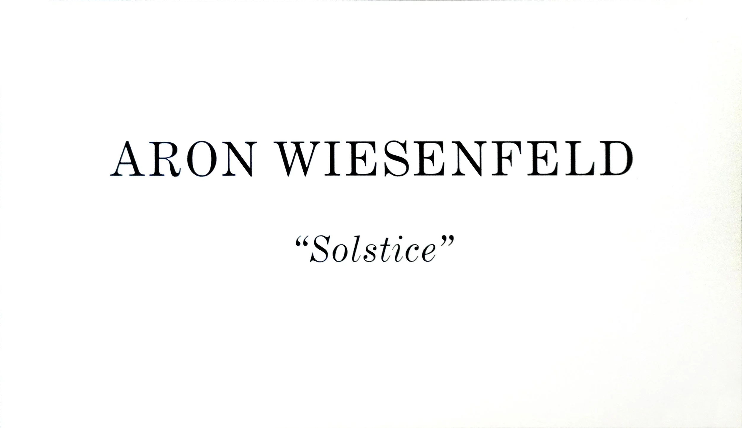Aron Wiesenfeld | Solstice — 2014 Exhibition Brochure