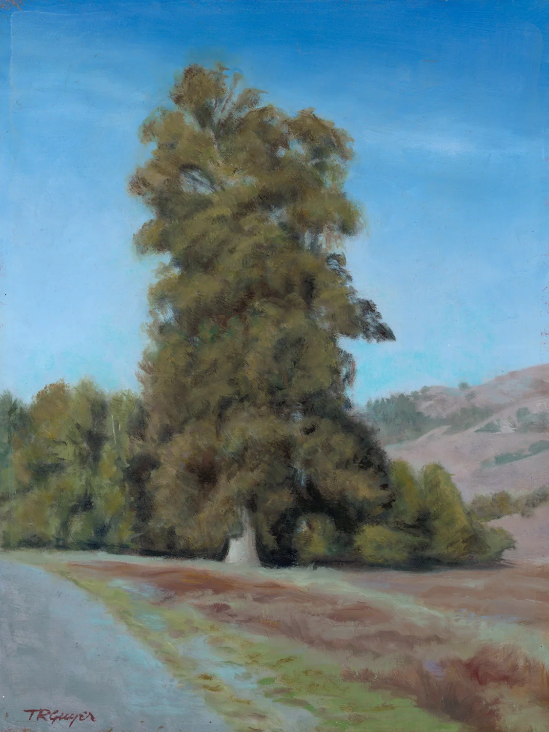 "Roadside San Juan Batista" 12x9" oil on linen over wood panel